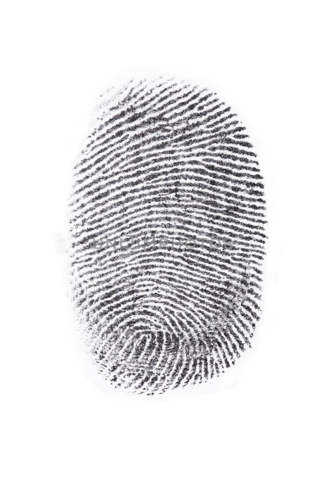 Fingerprint print output in a white background.