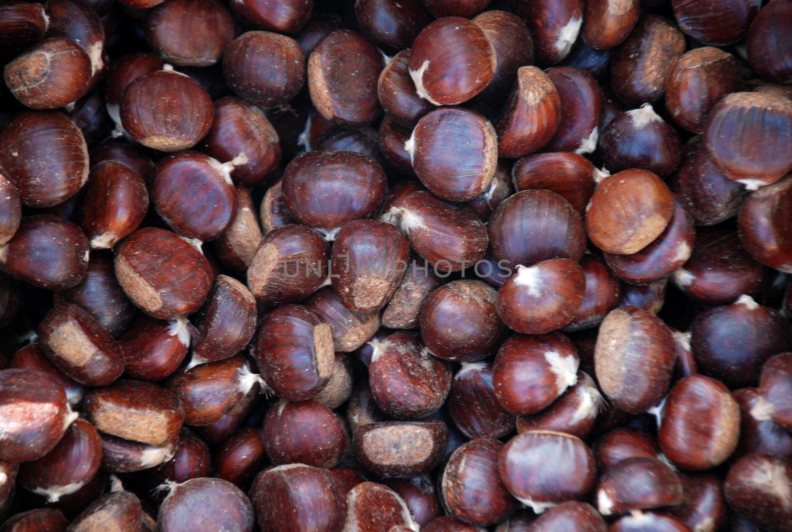 chestnuts