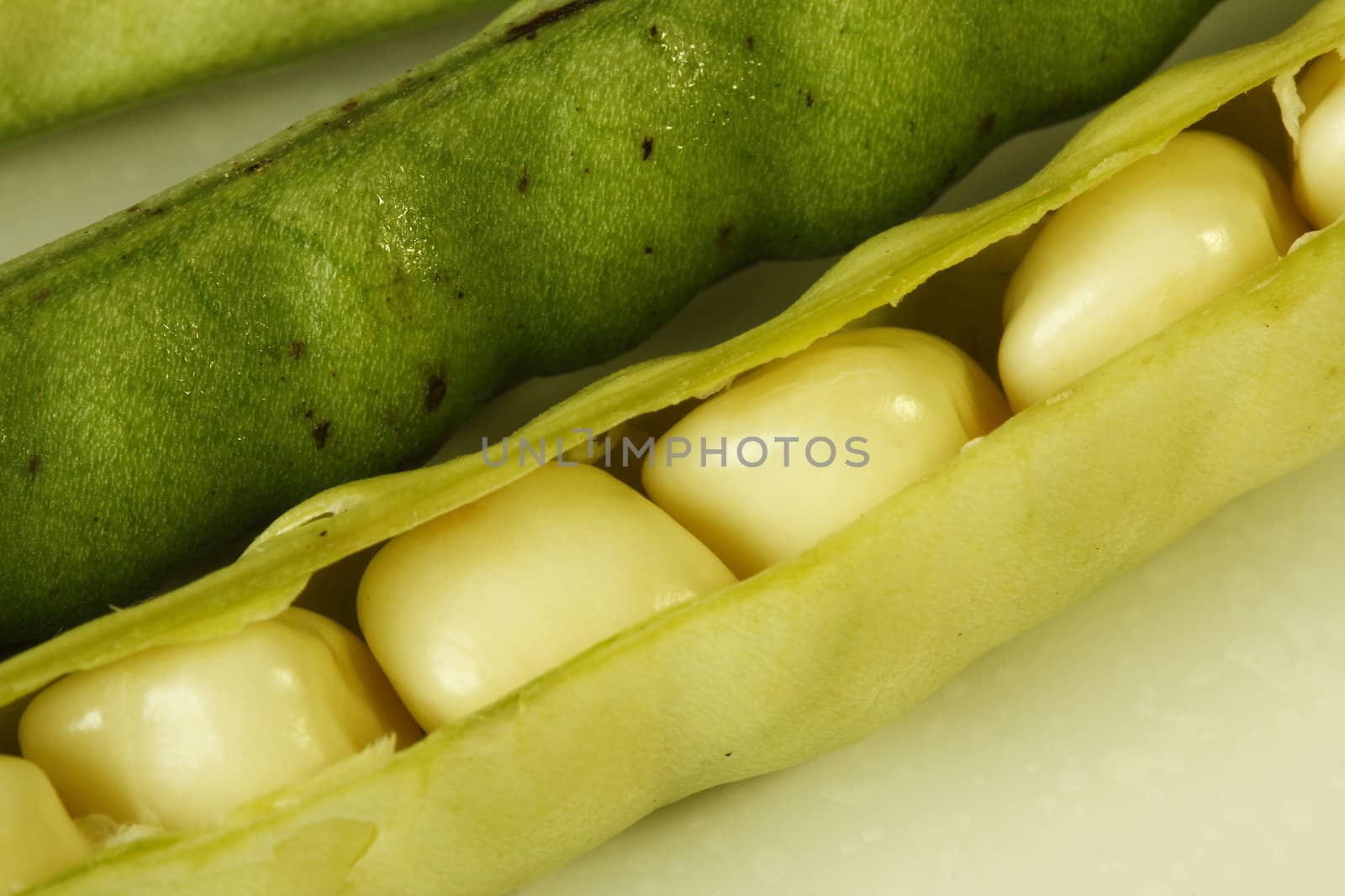 Close-up of ripe beans in its pod 