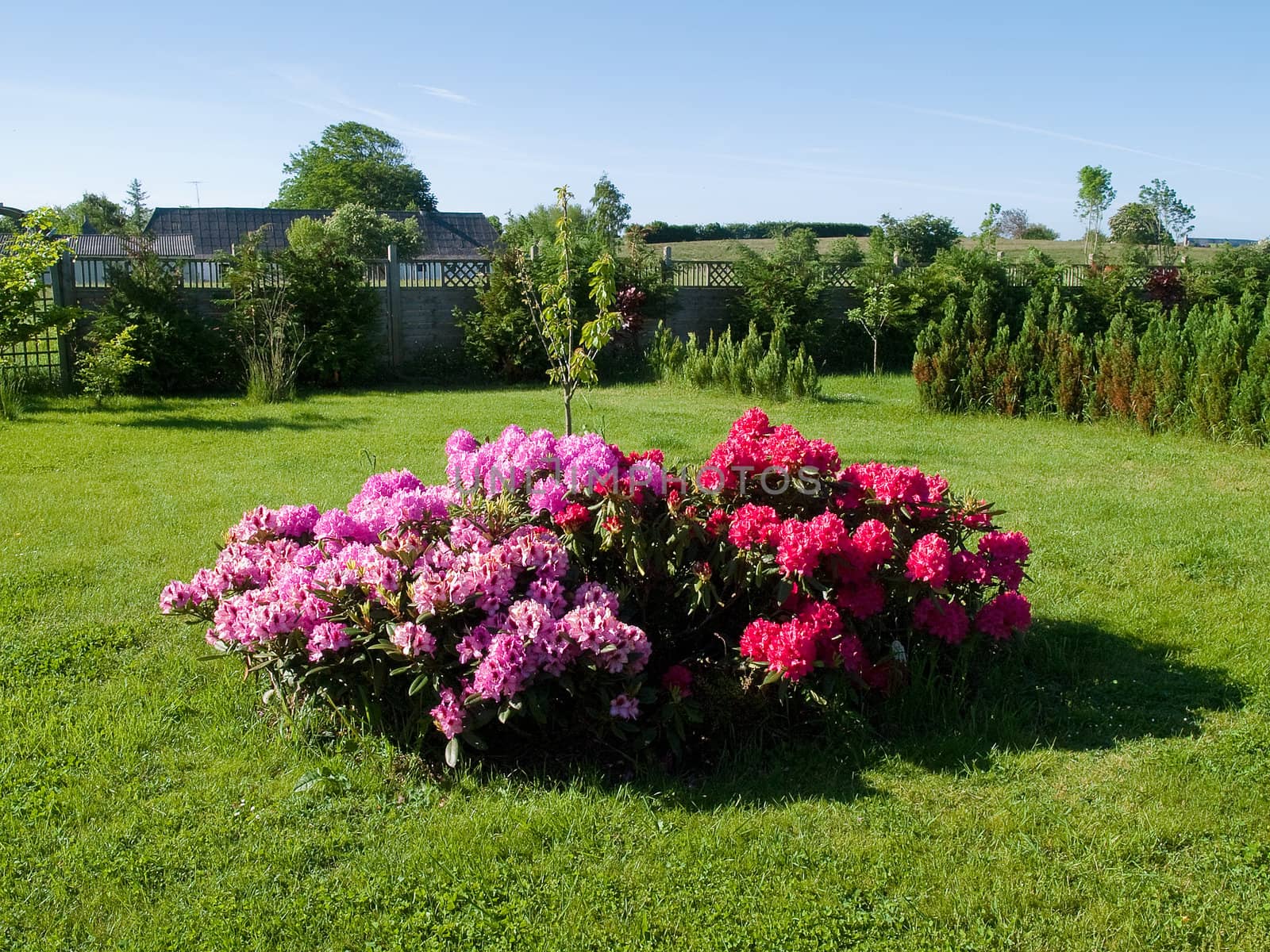 Flowers and plants corner island in a beautiful garden