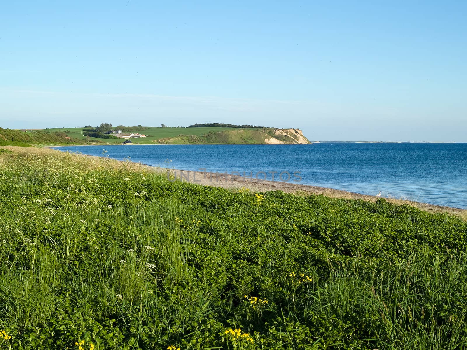 Seascape seashore bay landscape background Assens Denmark      