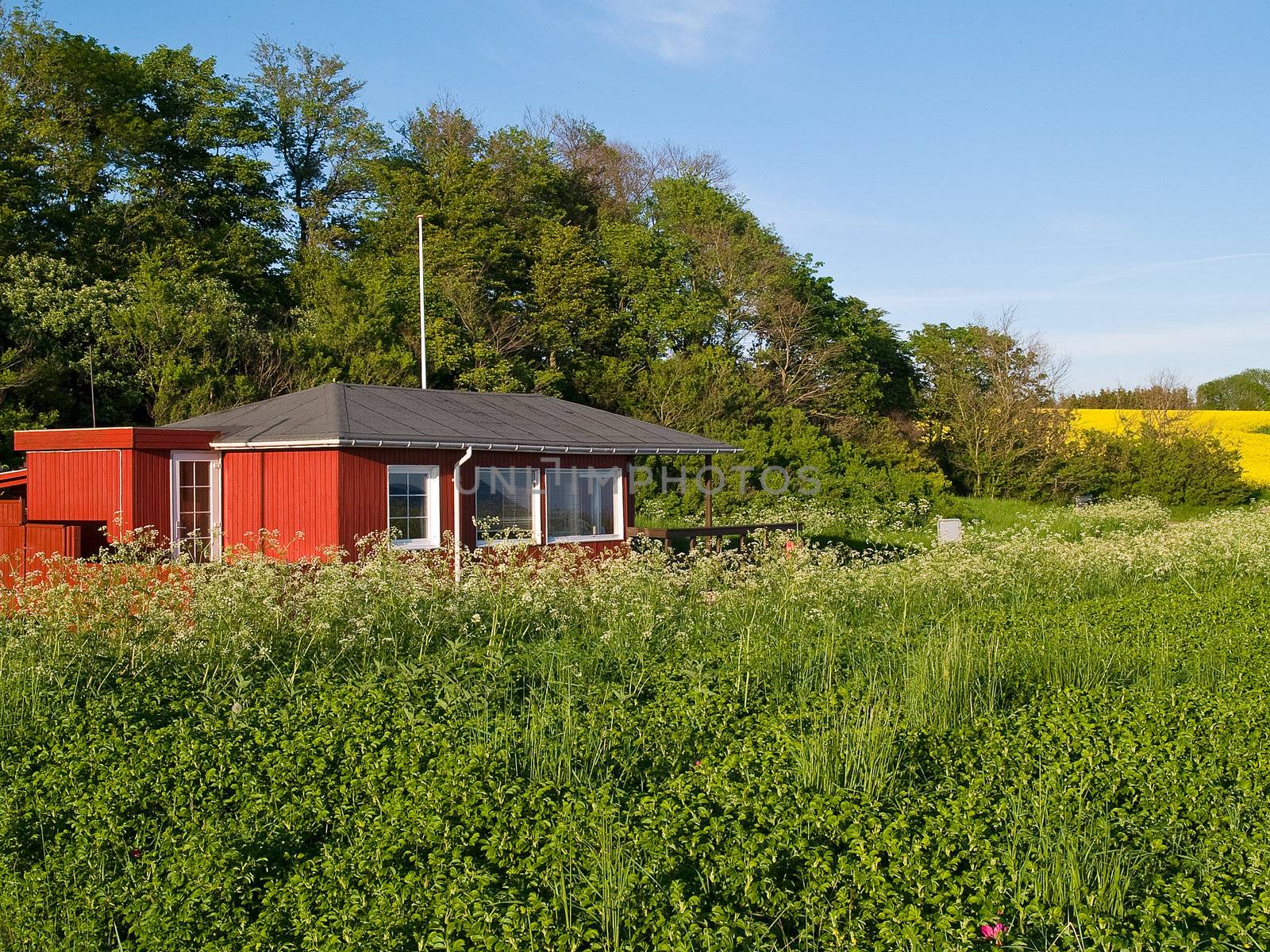 Traditional colorful wooden summer vacation home house