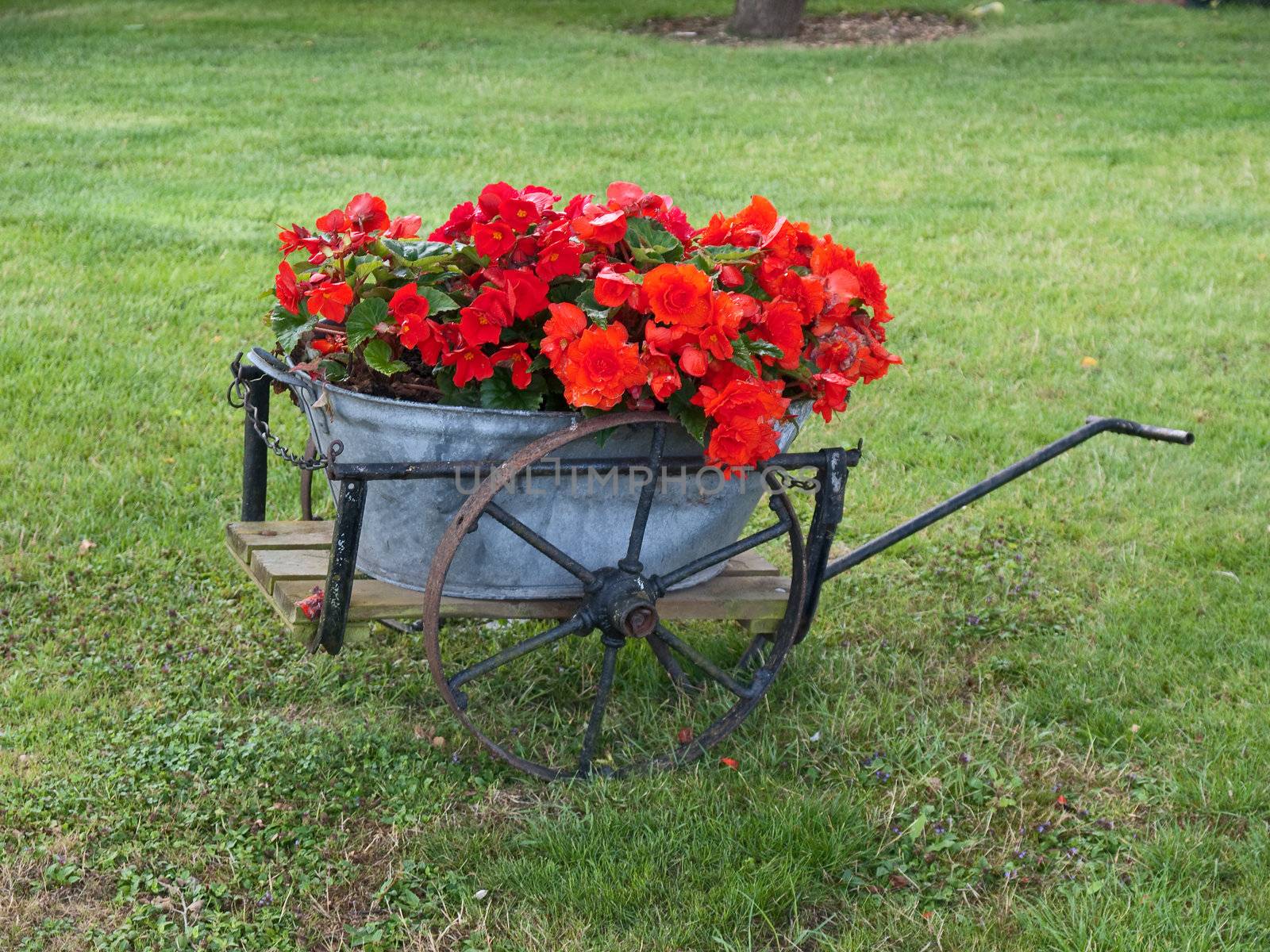 A garden decorated with an old wagon turned into a planter