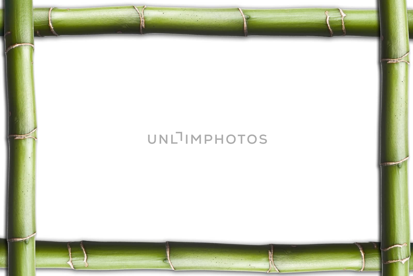 Bamboo isolated on a white background.