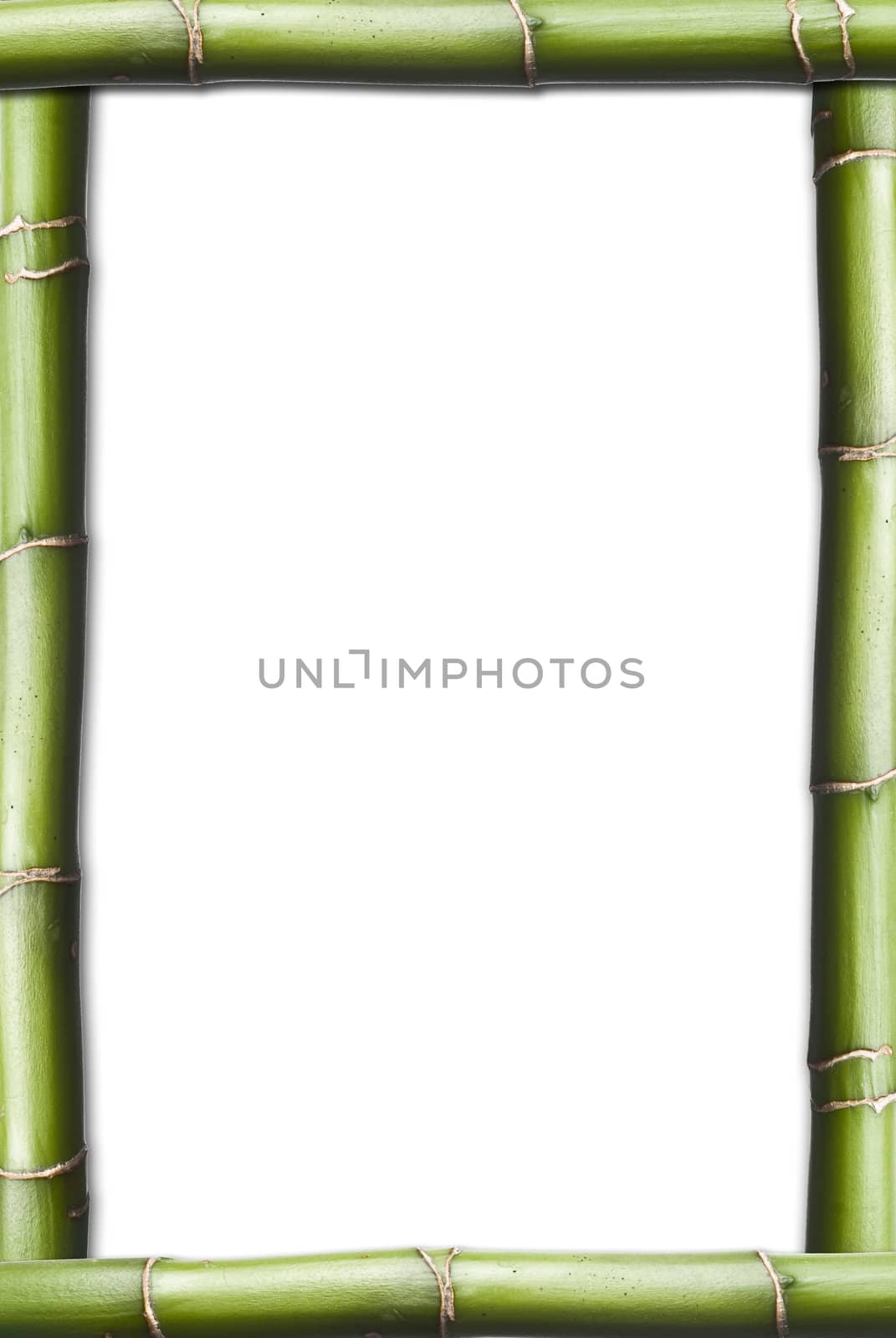 Bamboo isolated on a white background.