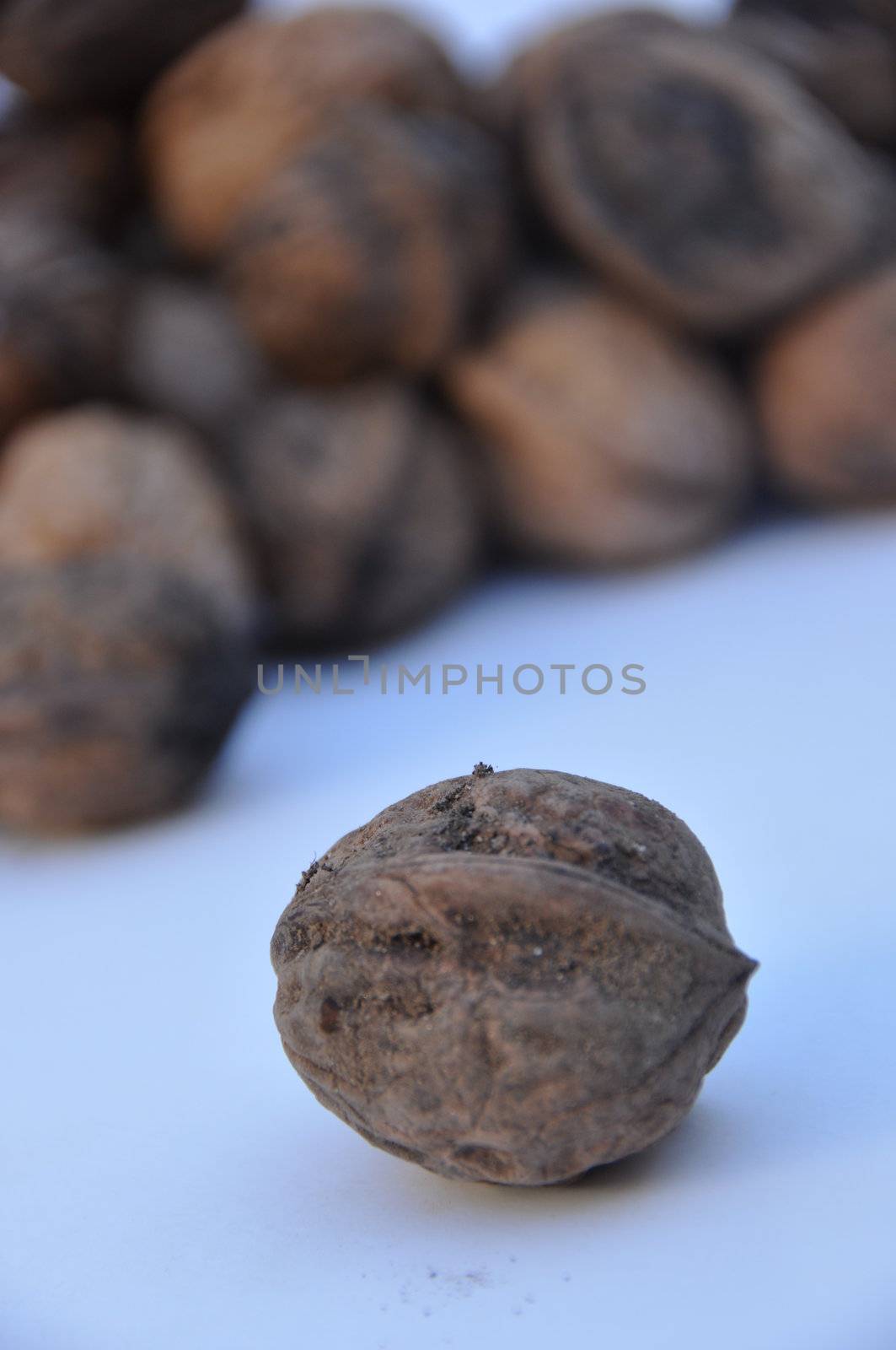 A big pile of nuts over white background