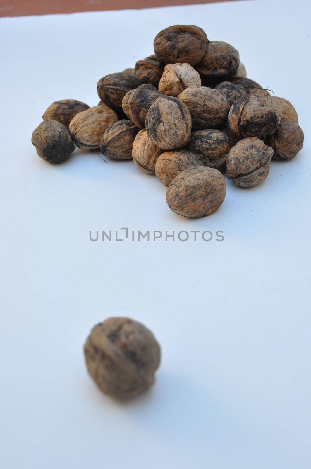 Nuts by afonsoasneves