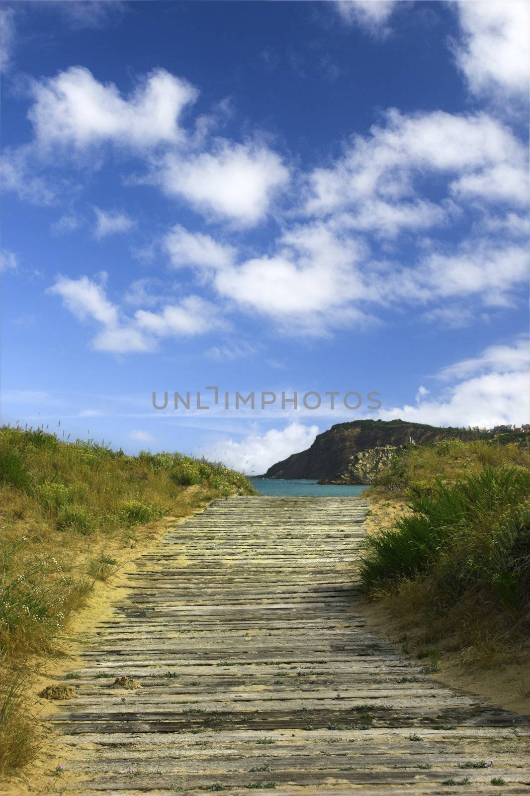 Path to the Beach by Iko
