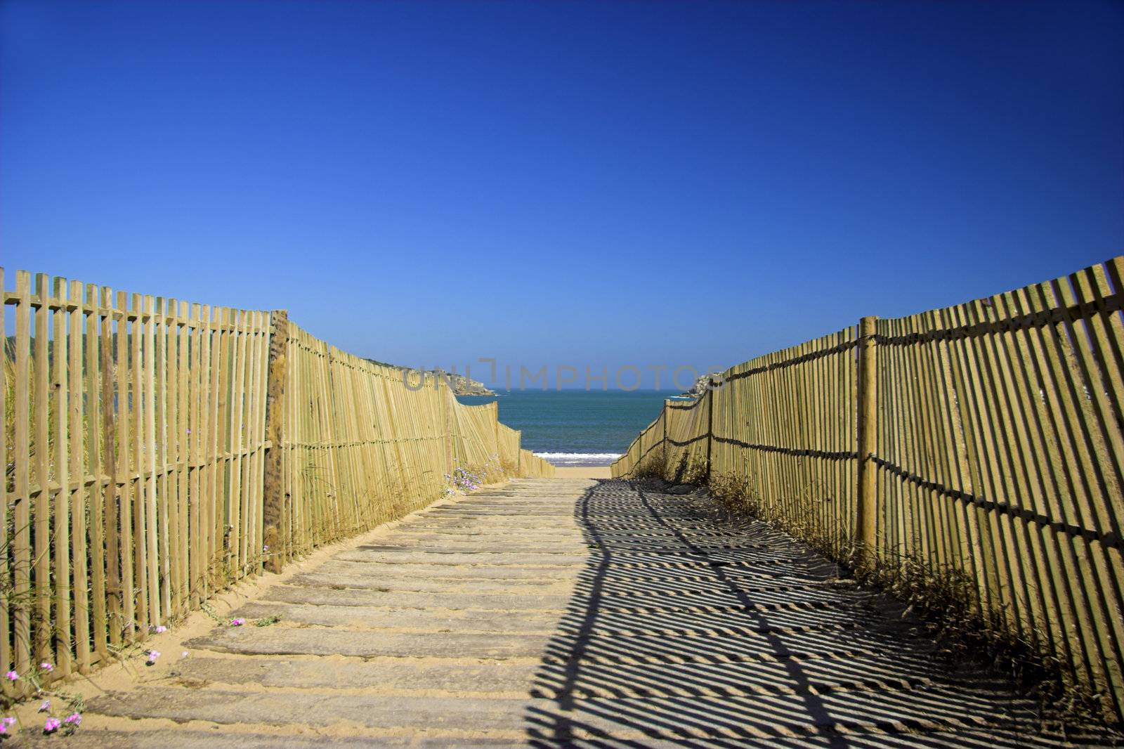 Wood path going to a wonderfoul beach