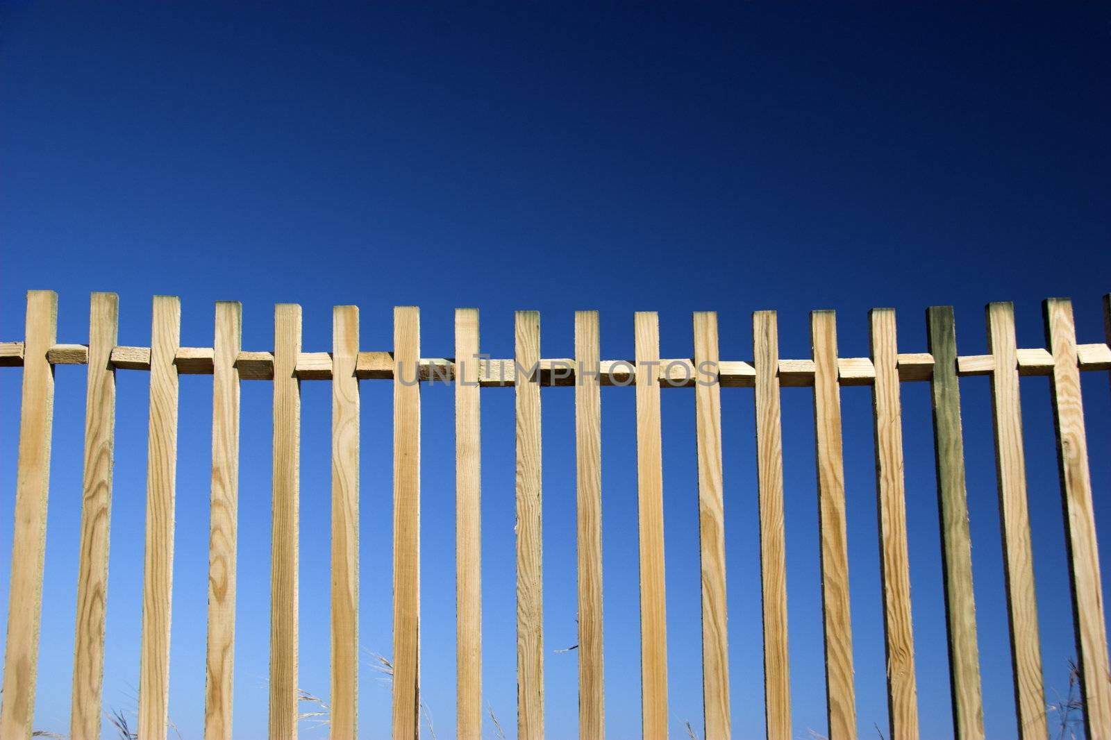 Beautiful wood fences over a great blue sky