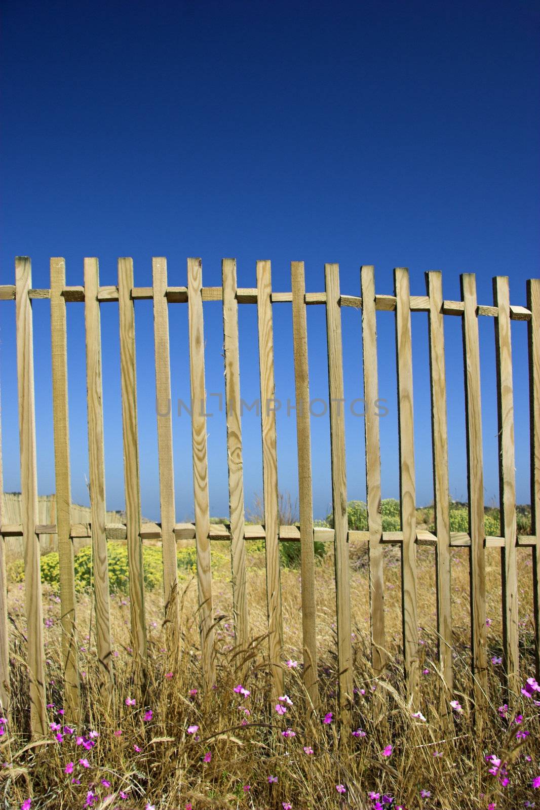 Beautiful wood fences over a great blue sky