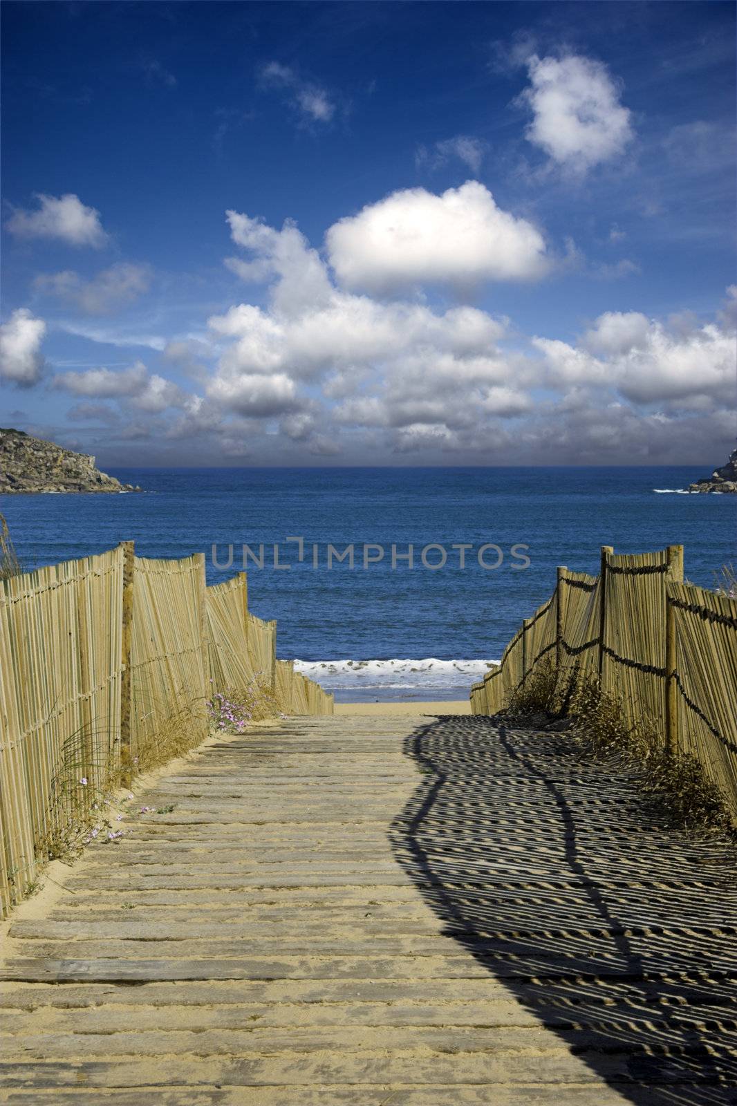 Path to the Beach by Iko