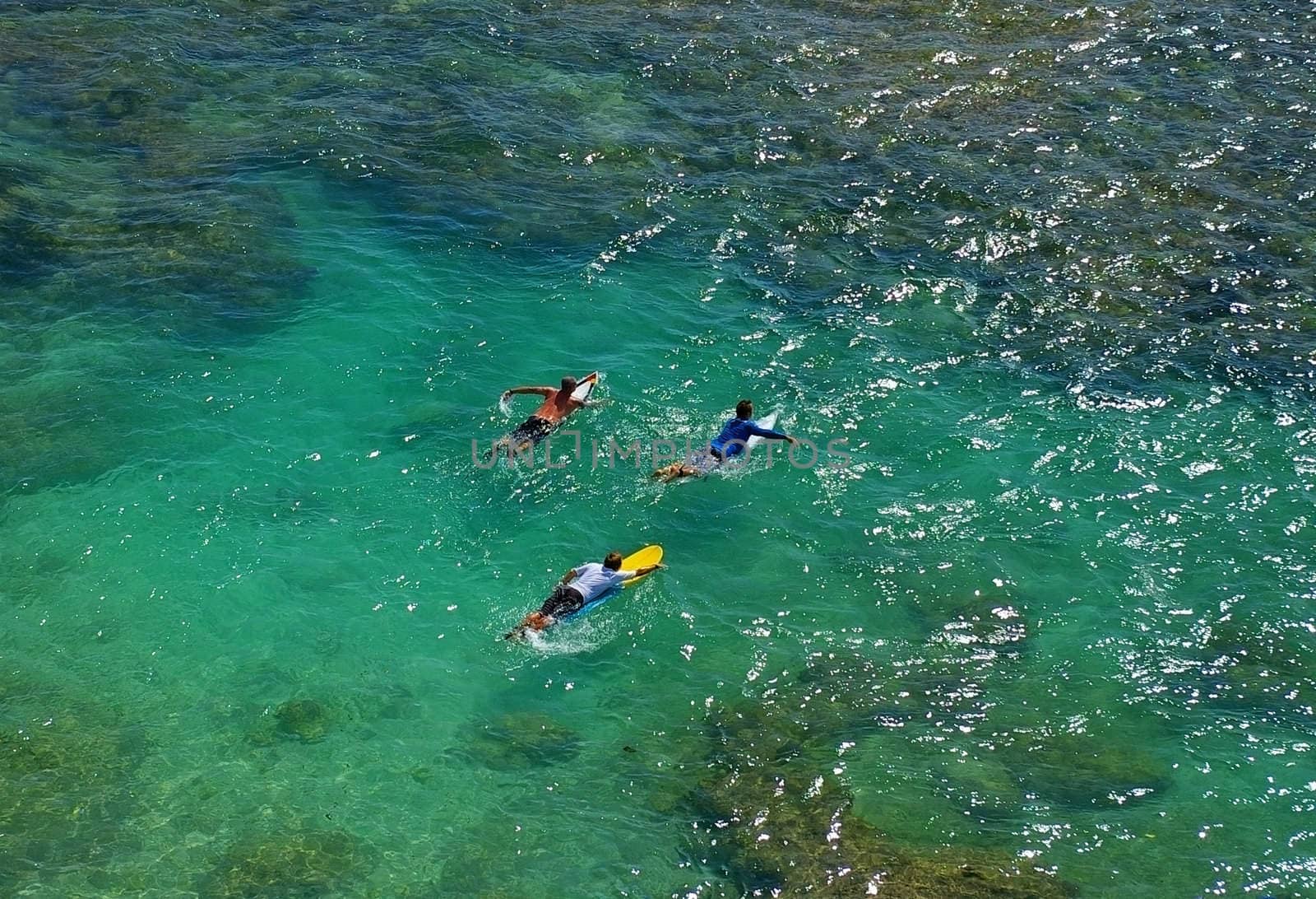 Surfers paddling out to the Indian Ocean from Uluwatu beach, Bali, Indonesia.