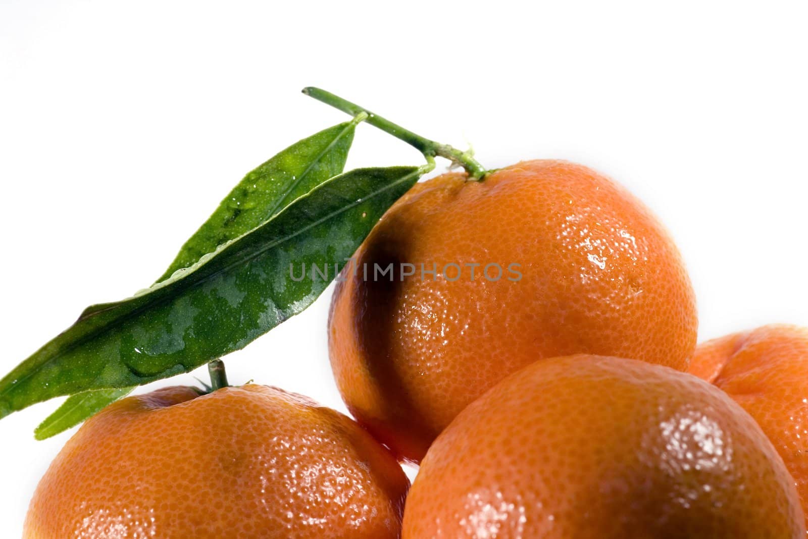 mandarin on the white background