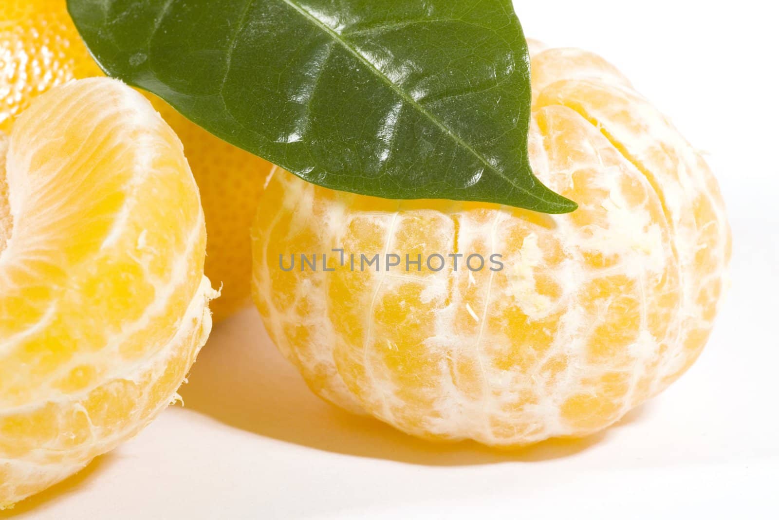 mandarin on the white background