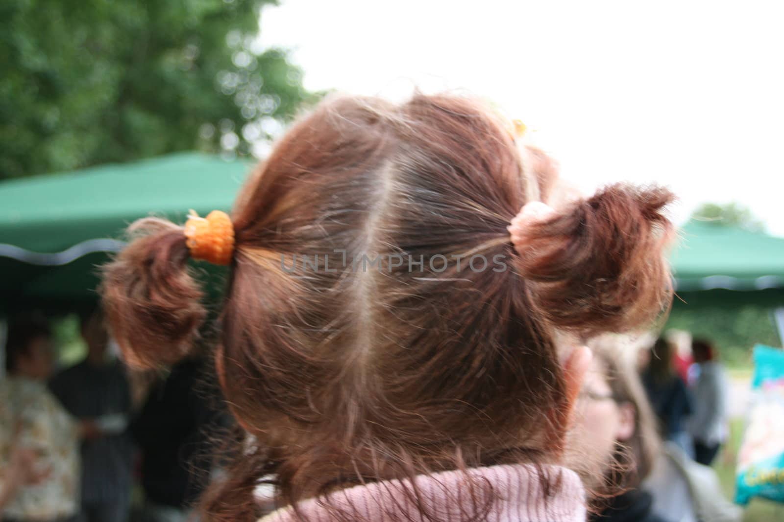 Redhead with two tails