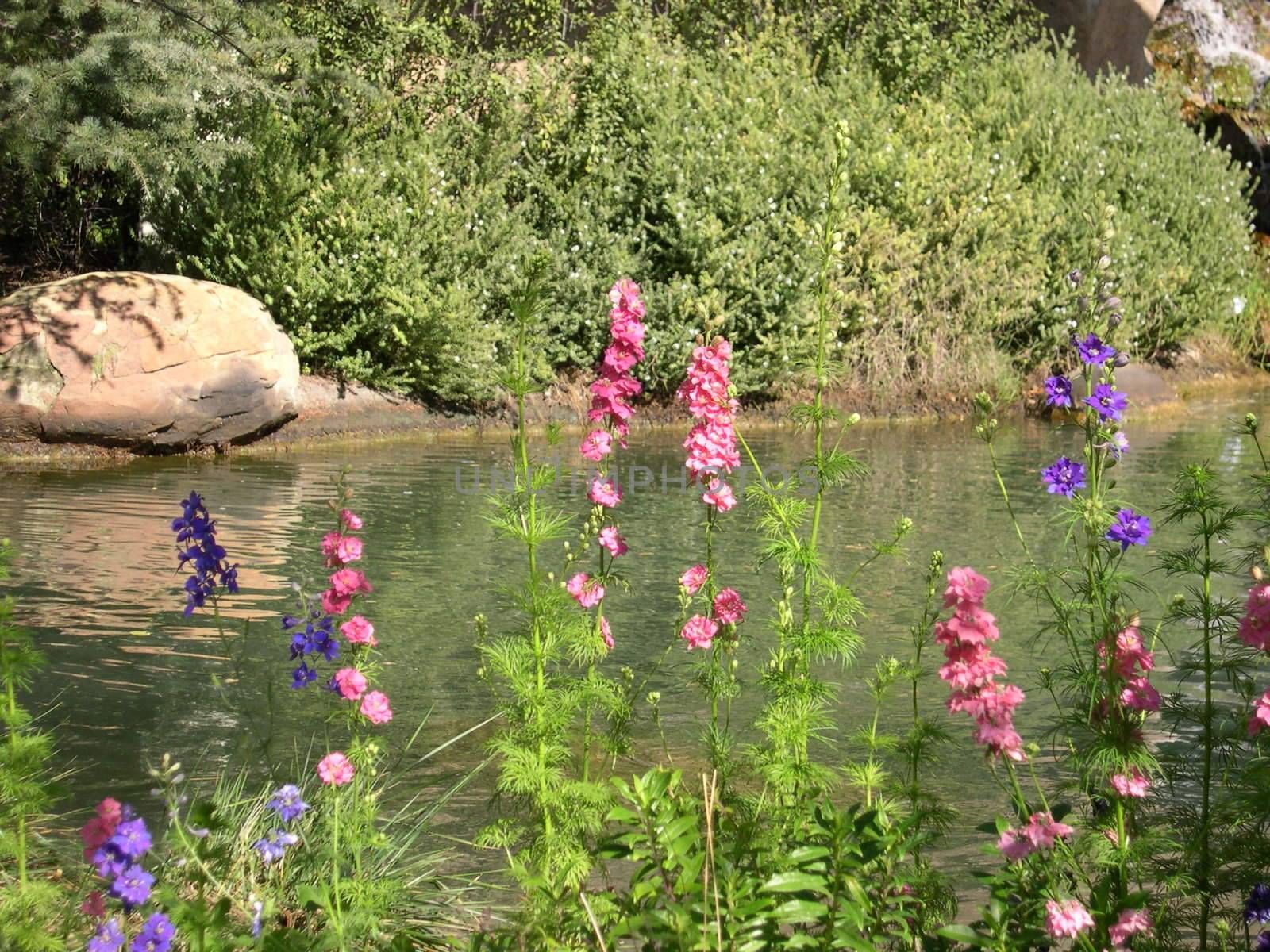 Flowers next to a man made lake.