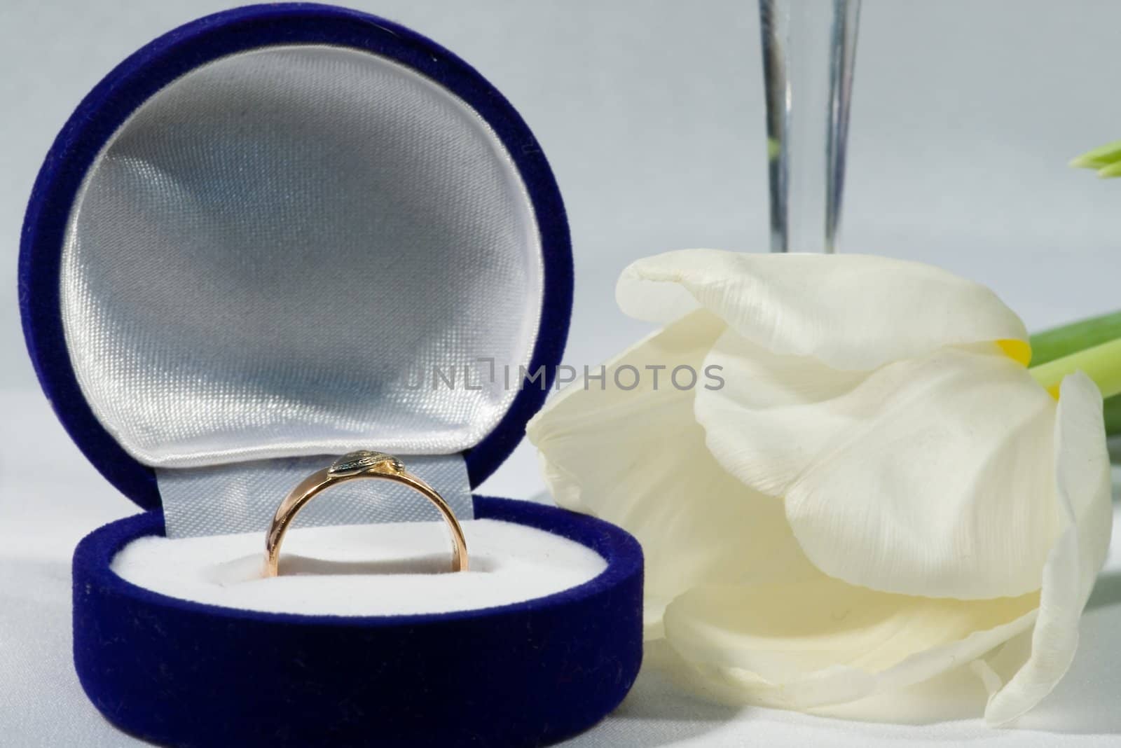 Gold ring with tulip by dolnikow