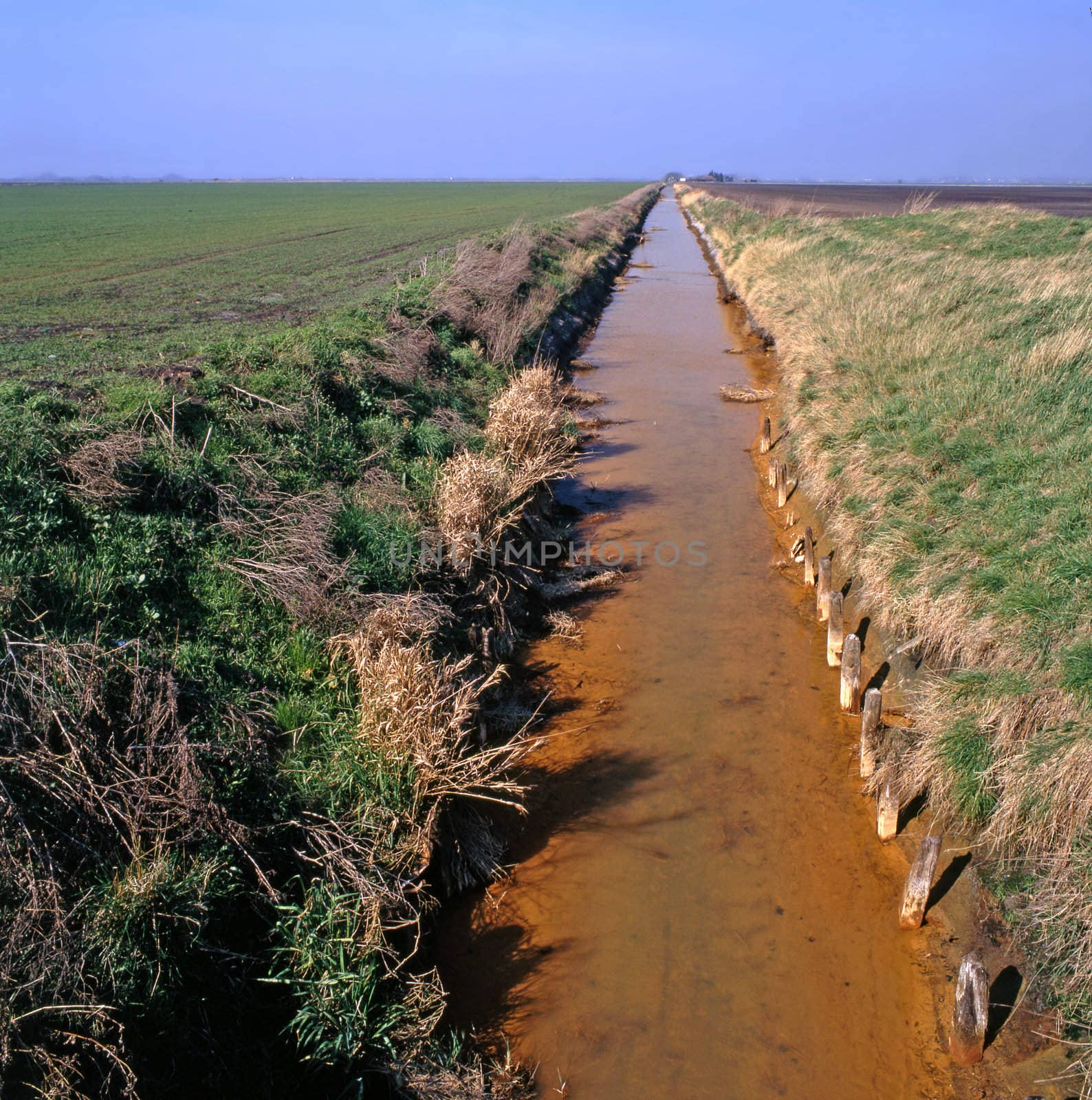 Fenland in the east of England near the town of March