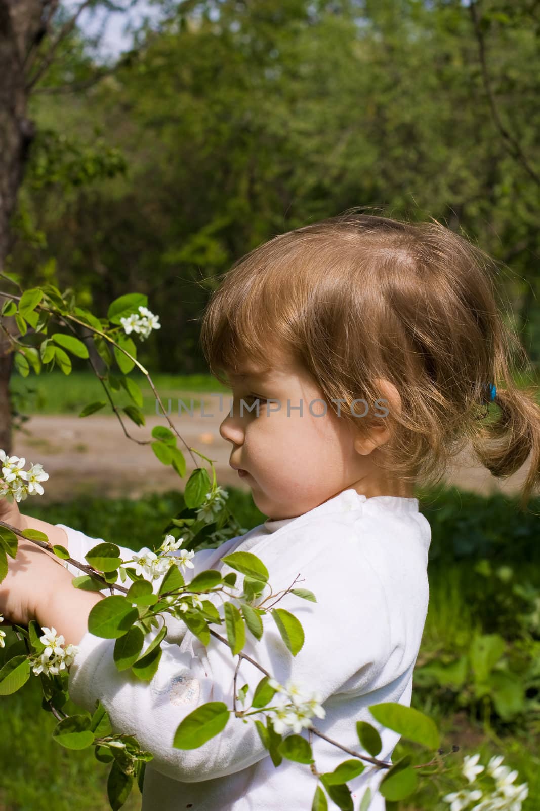 Young girl collect flowers from tree