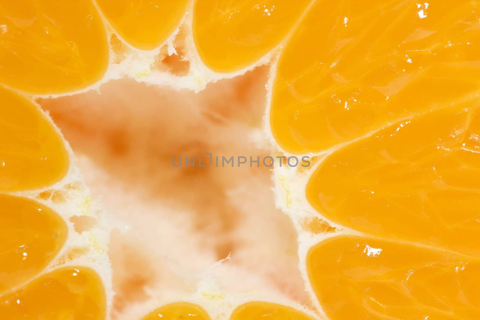 orange ripe mandarin by macro lens