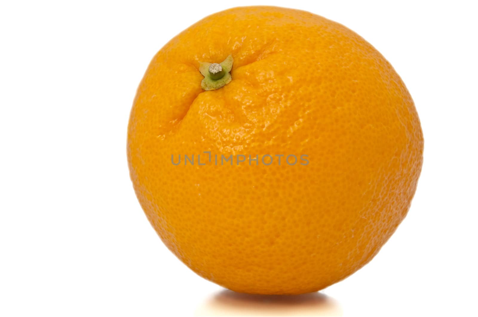 Close and low level of isolated whole orange over white.