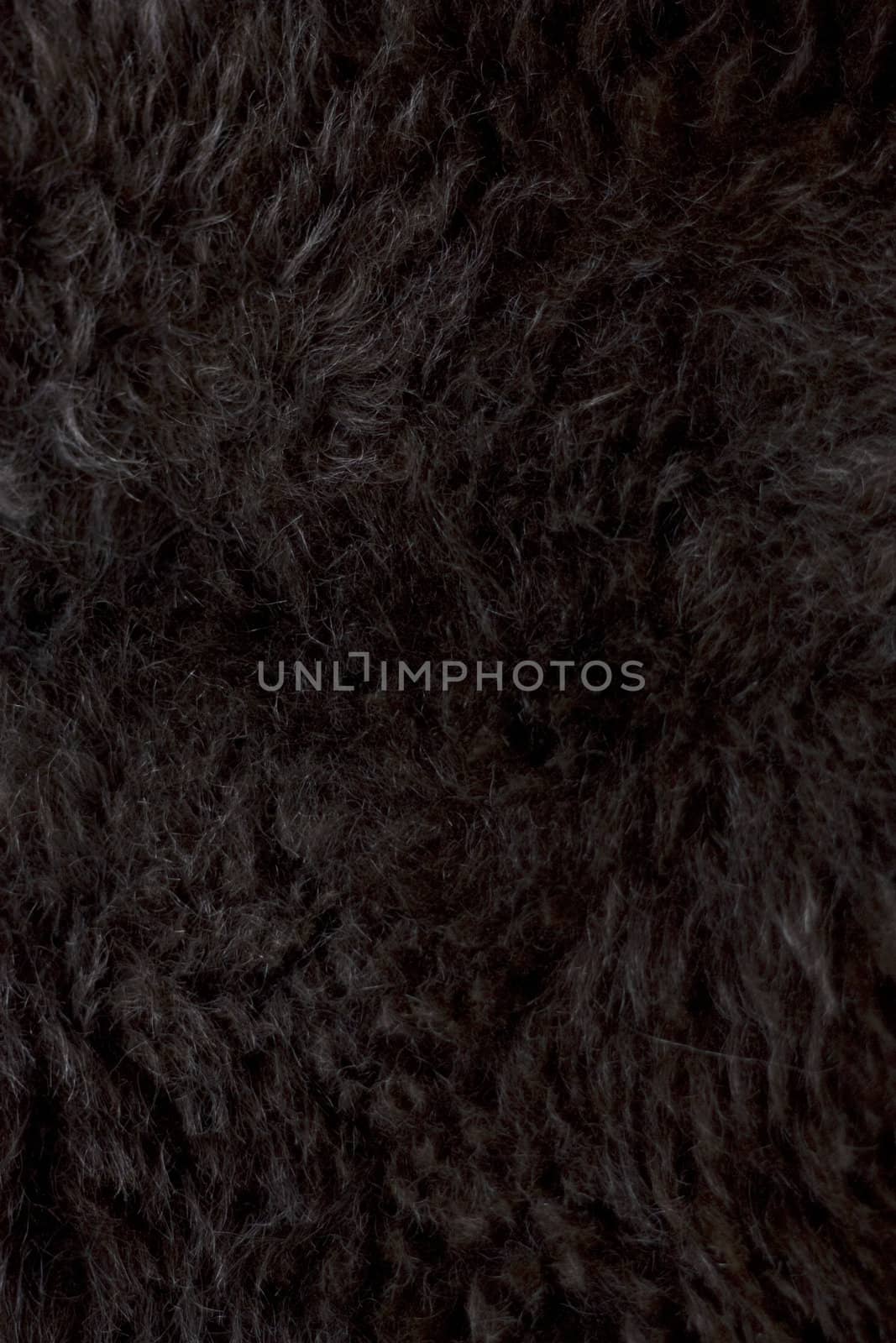 Dark brown and black wool background or texture