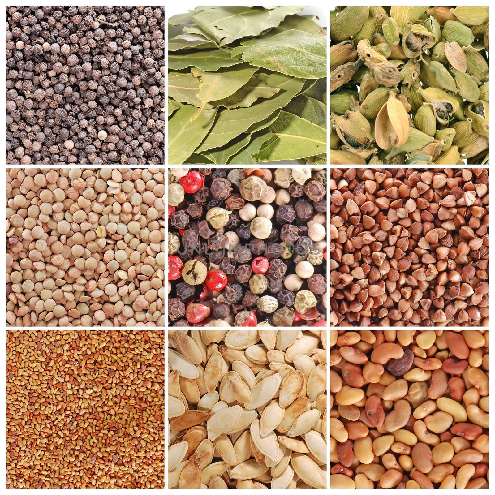 Assortment of grain and spices in cloae-up