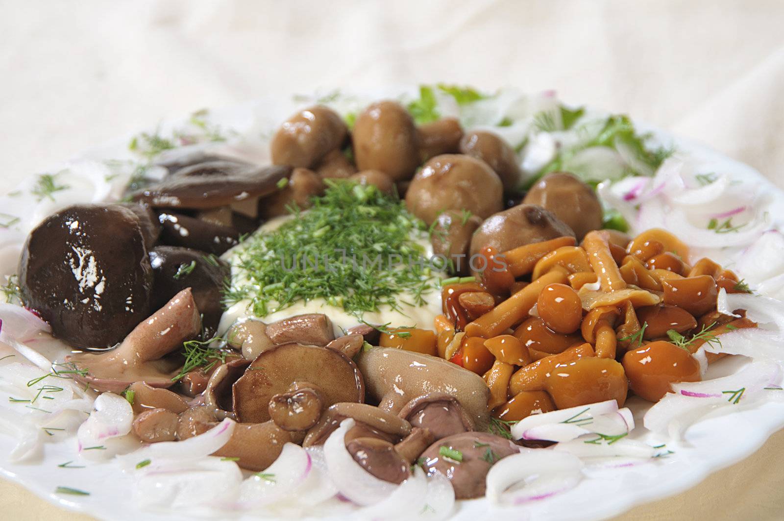 pickled mushrooms by dyoma