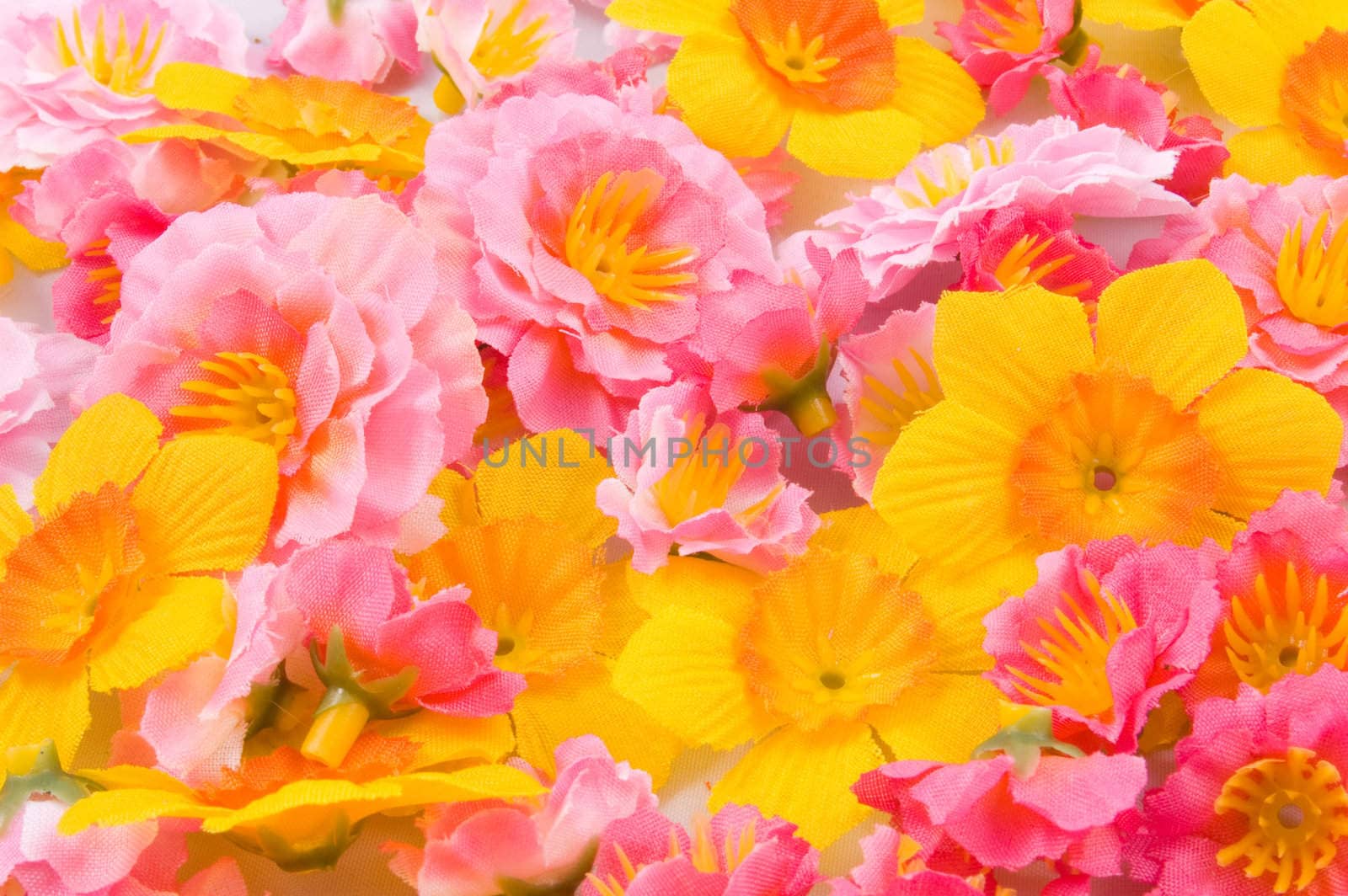 colorful flower background by ladyminnie