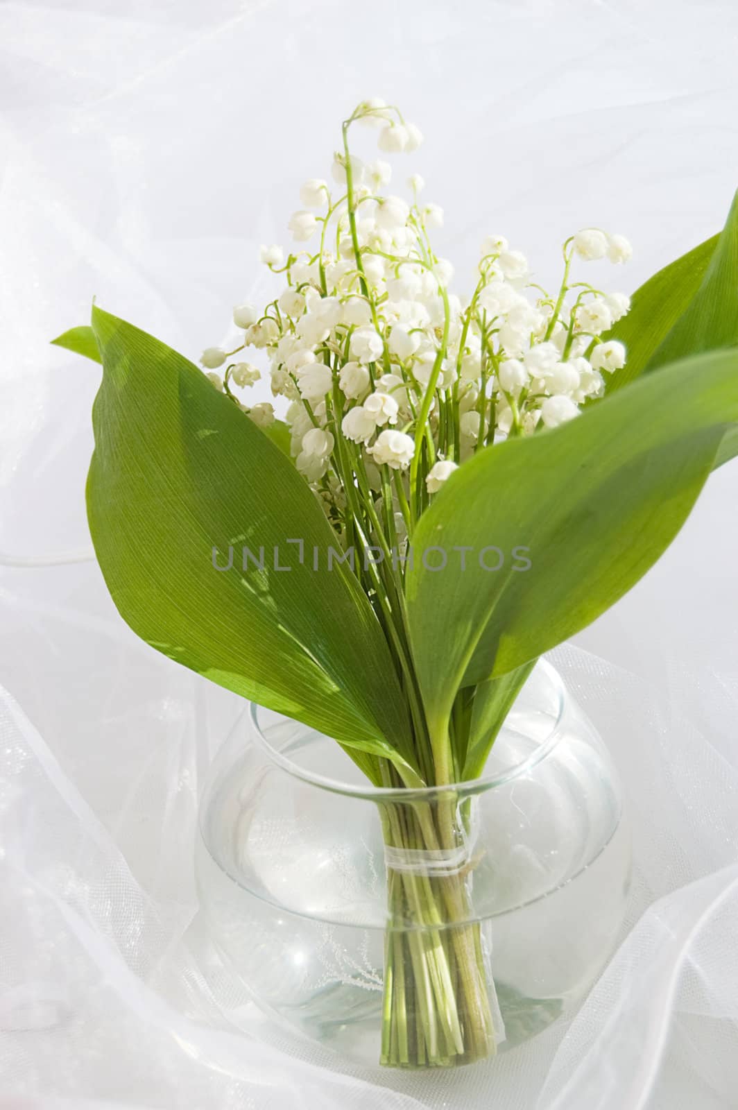 Bouquet of lily of the valley in a glass vase