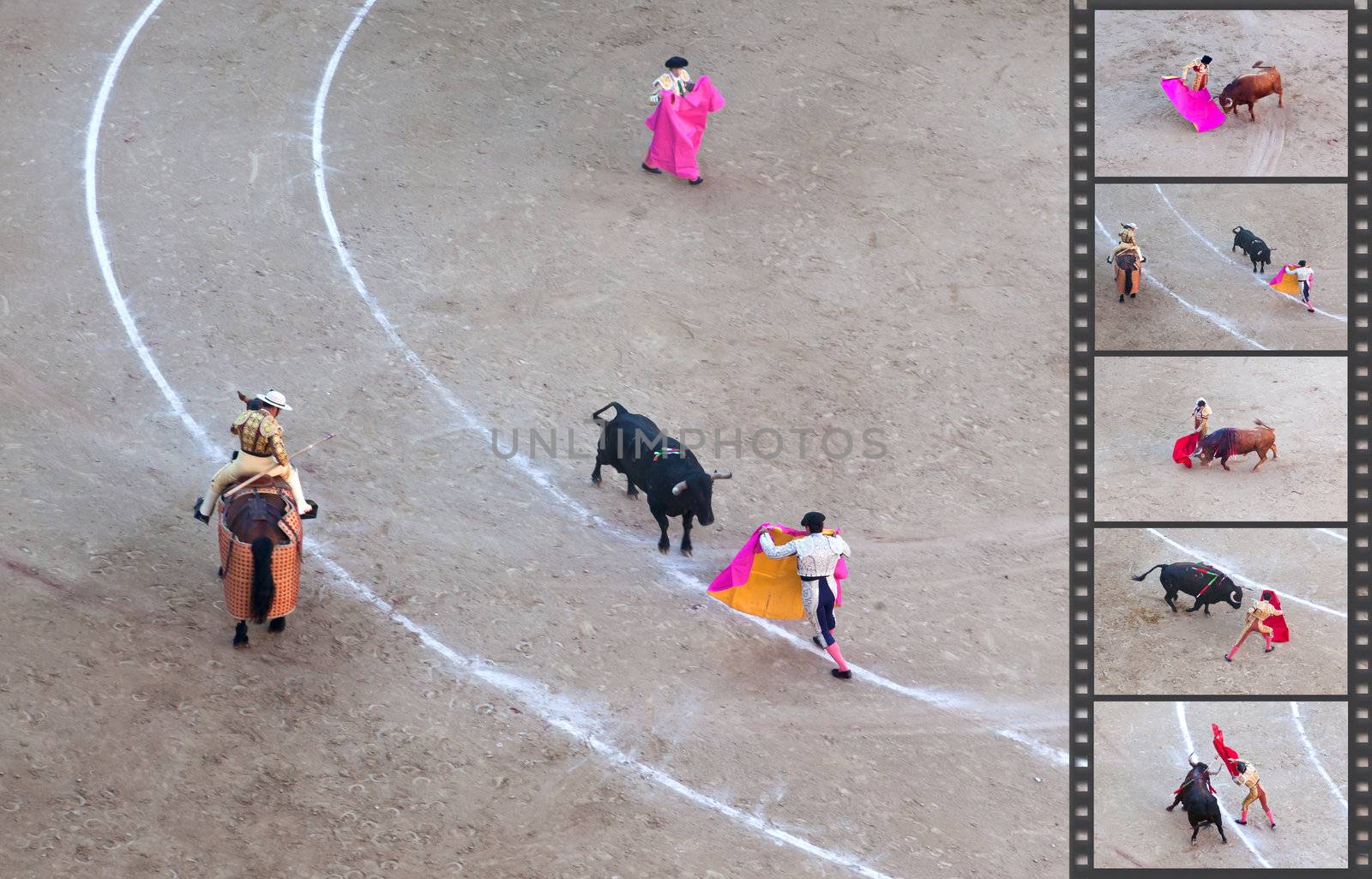 Bullfight - the one of the most controversial events in the world by gary718