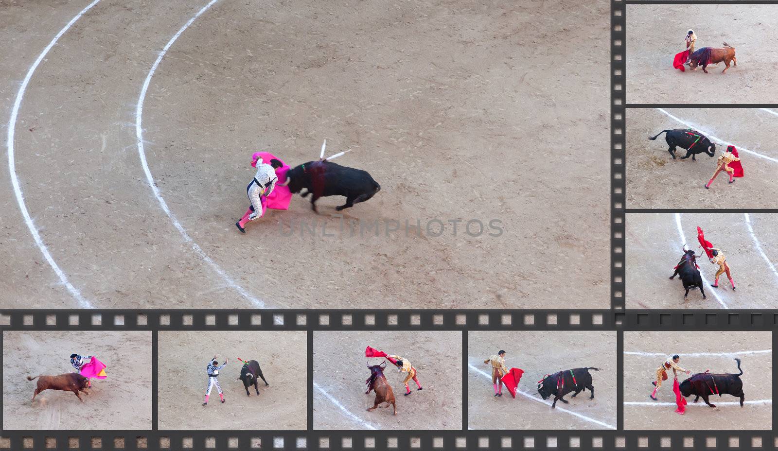 Bullfight - the one of the most controversial events in the world by gary718
