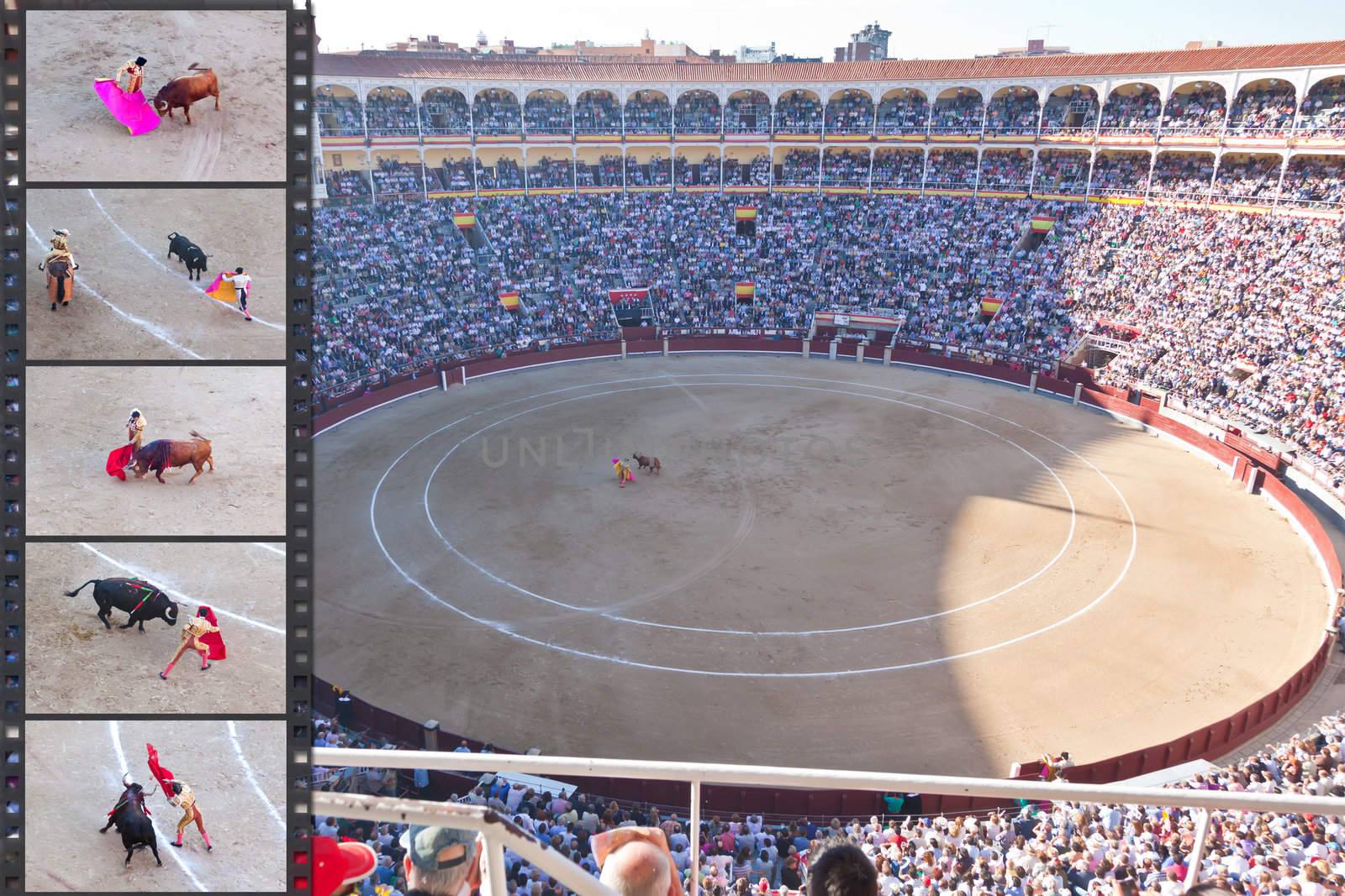 Madrid - OCTOBER 1: The huge crowd jammed in the famous Plaza de Toros are watching the bullfight on OCTOBER 1, 2010 in Madrid. Spain.