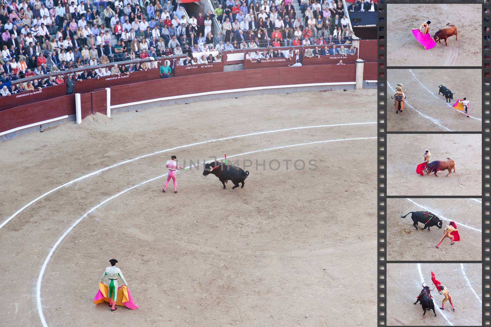 Bullfight - the one of the most controversial events in the world. Some factual images of a bullfight in Madrid, Spain on OCTOBER 1, 2010. 
