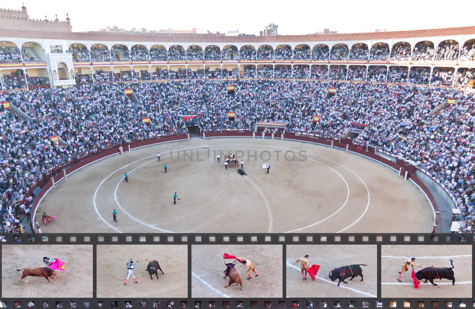 Bullfight - the one of the most controversial events in the world. Some factual images of a bullfight in Madrid, Spain on OCTOBER 1, 2010. 
