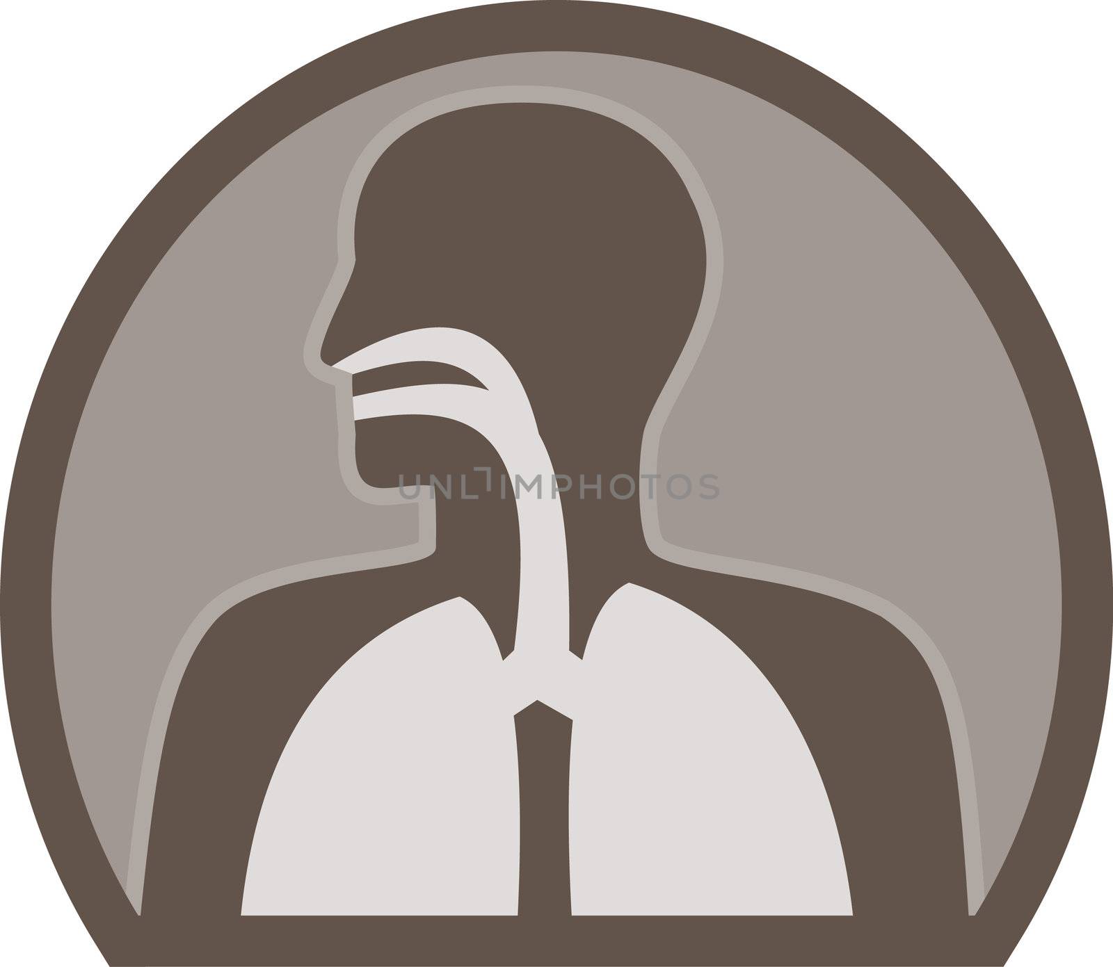 illustration of a human anatomy figure facing side showing respiratory organ lung throat esophagus and bronchial tract 