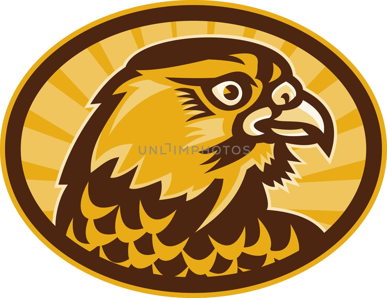 illustration of a Hawk or falcon looking to side done in retro style.