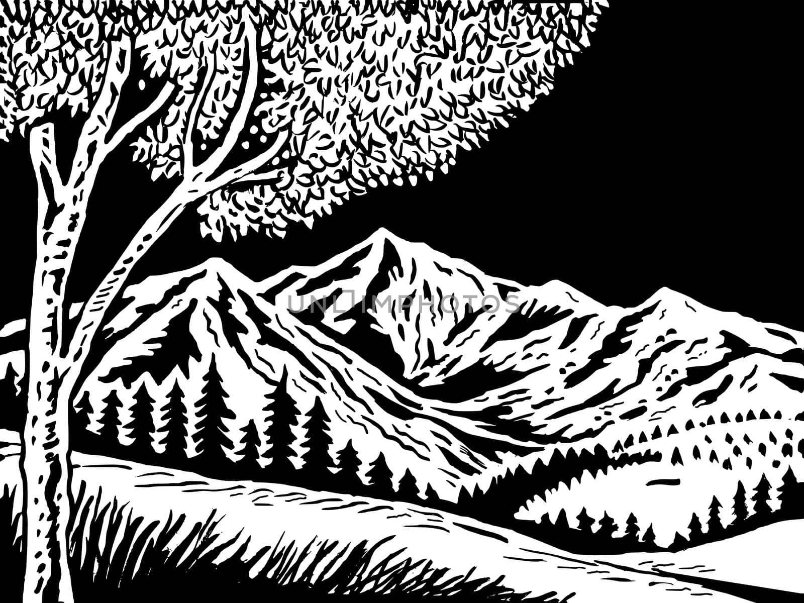 illustration of a Mountain scene with tree in foreground doen in black and white