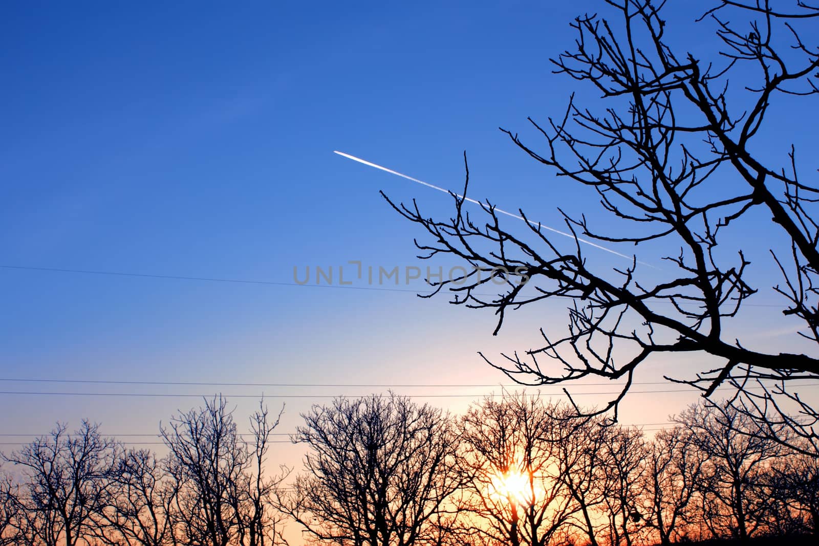 Track aircraft against a background of clear blue autumn sky and bare trees