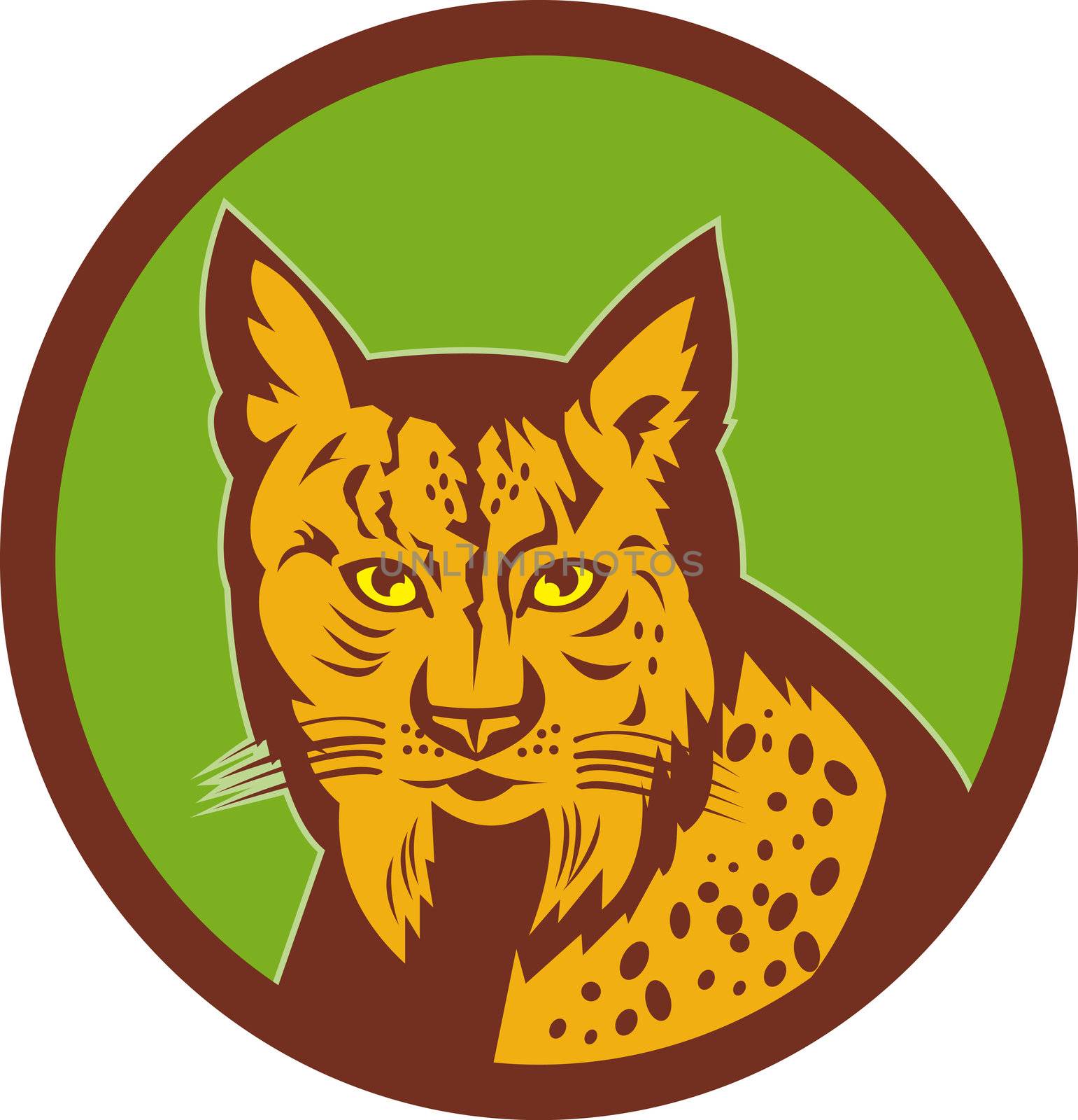illustration of a Iberian Lynx head viewed from front set inside a circle