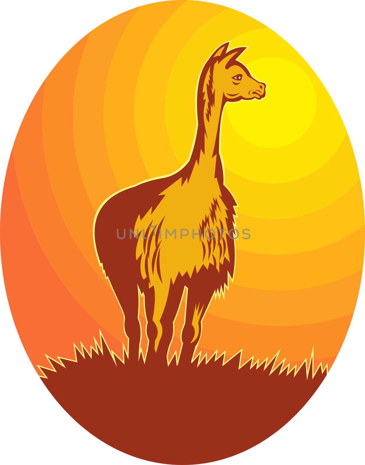 illustration of a Vicuna standing with sun in background