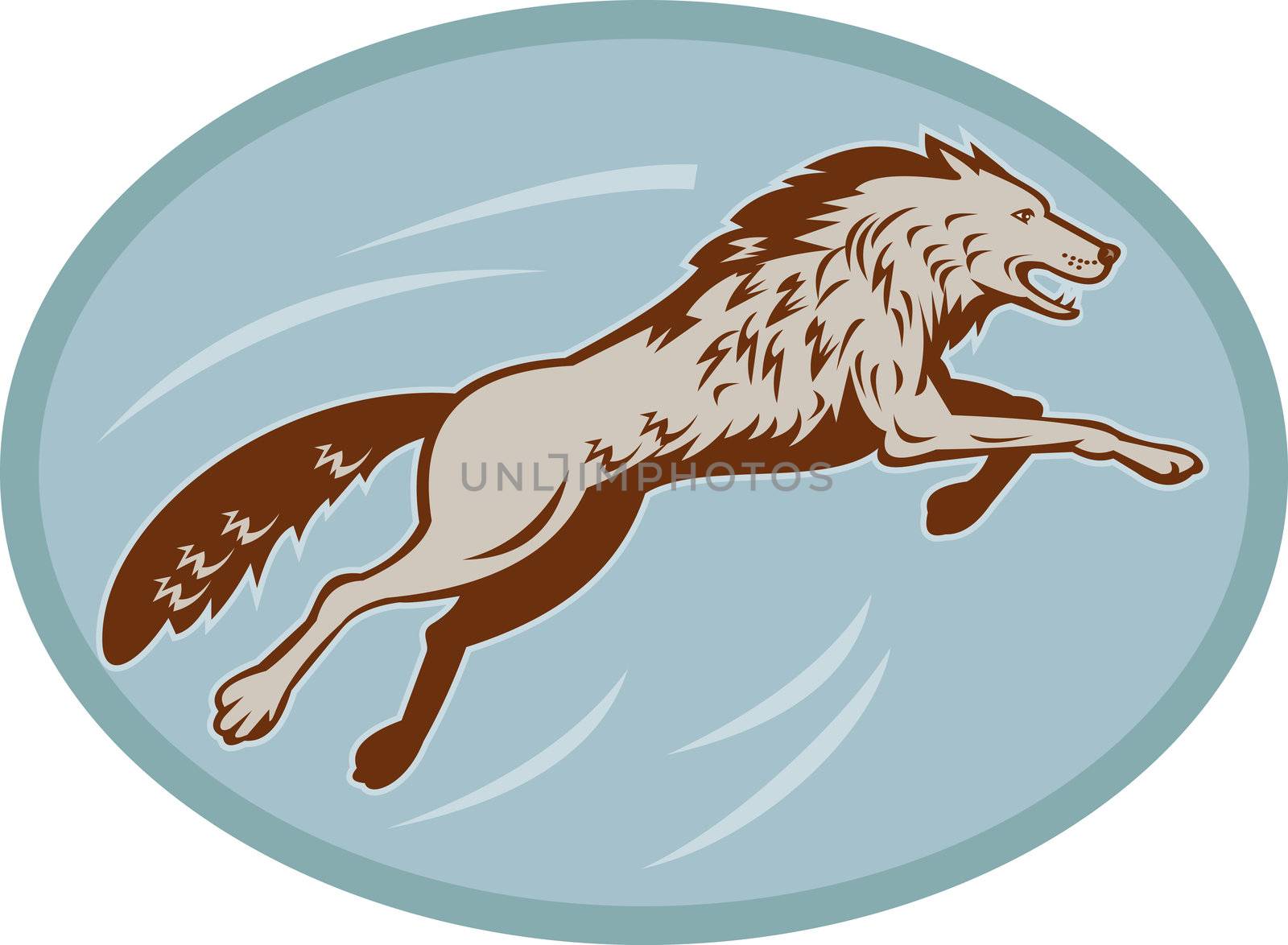 illustration of a Gray wolf jumping and attacking viewed from the side.
