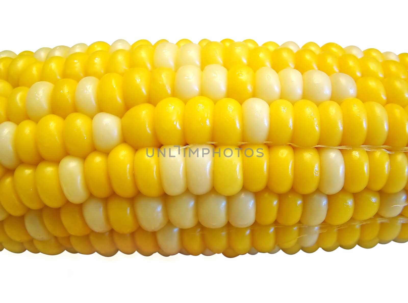 Corn on the cob isolated by Mirage3