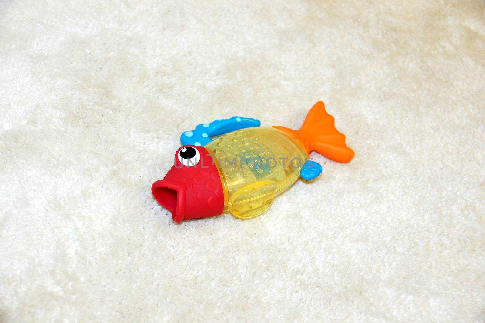 Concept of fish out of water with colorful plastic toy gasping, trying to breath as it has been thrown out of the tub on the rug by a kid.