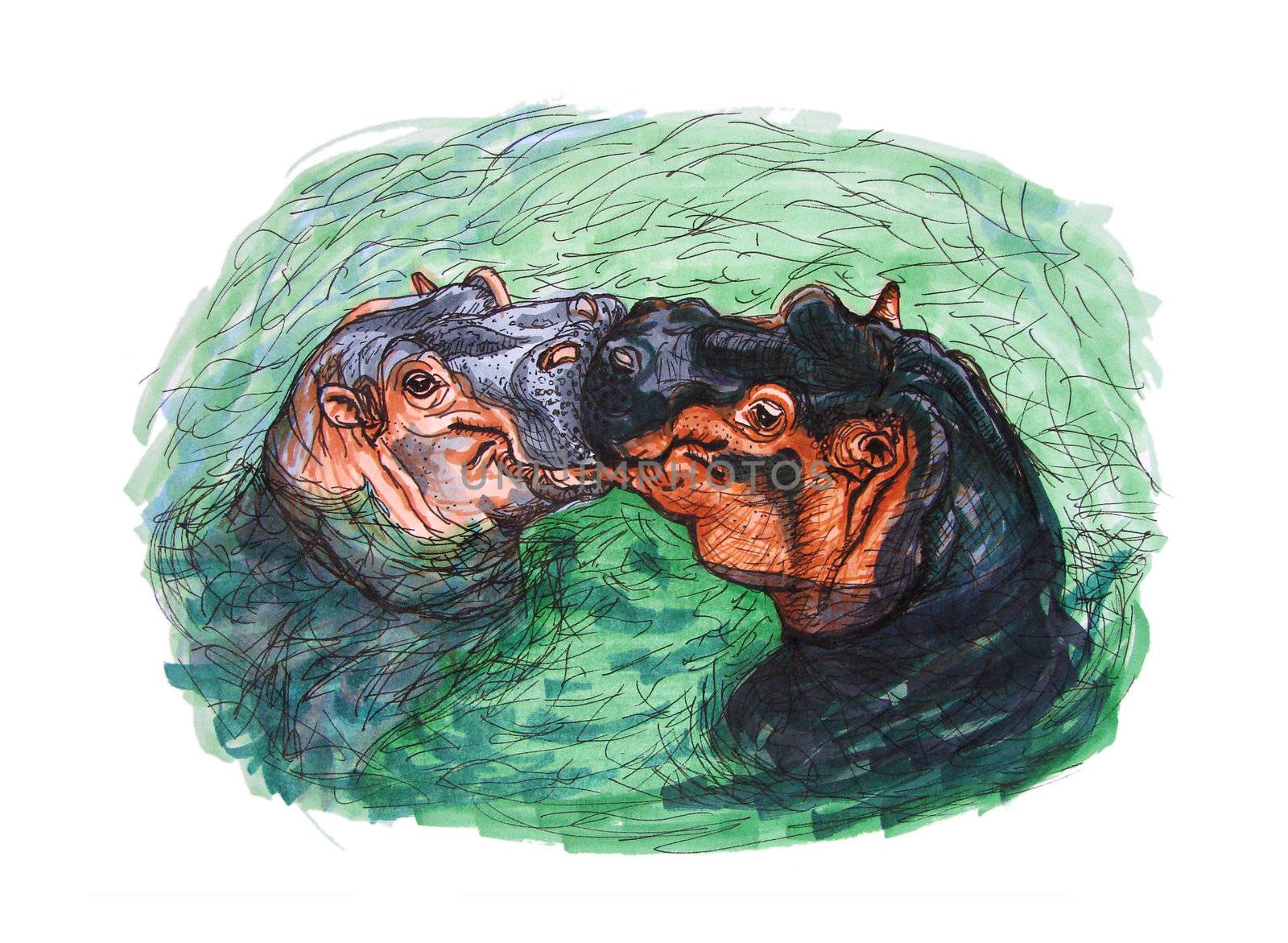 Ink drawing of two funny hippos seemingly kissing in turquoise water