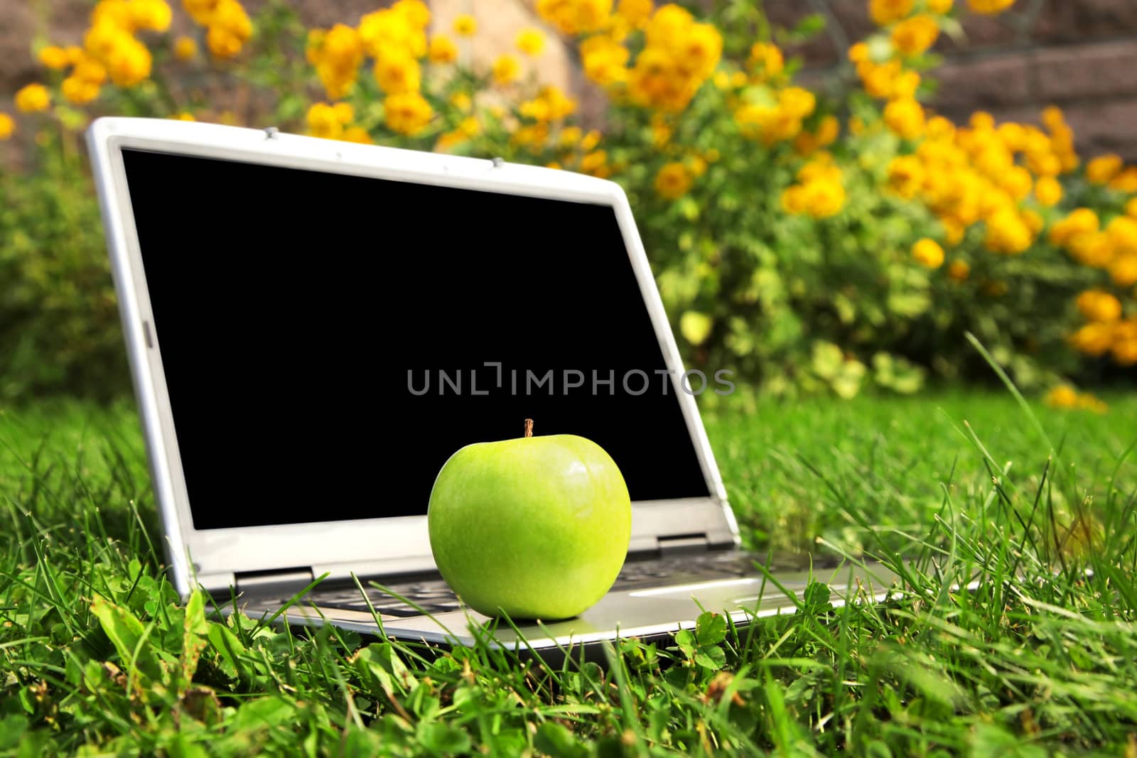 Back to school or vacation time. Opened laptop computerwith black screen ready for your text, left on grass with green apple in focus.