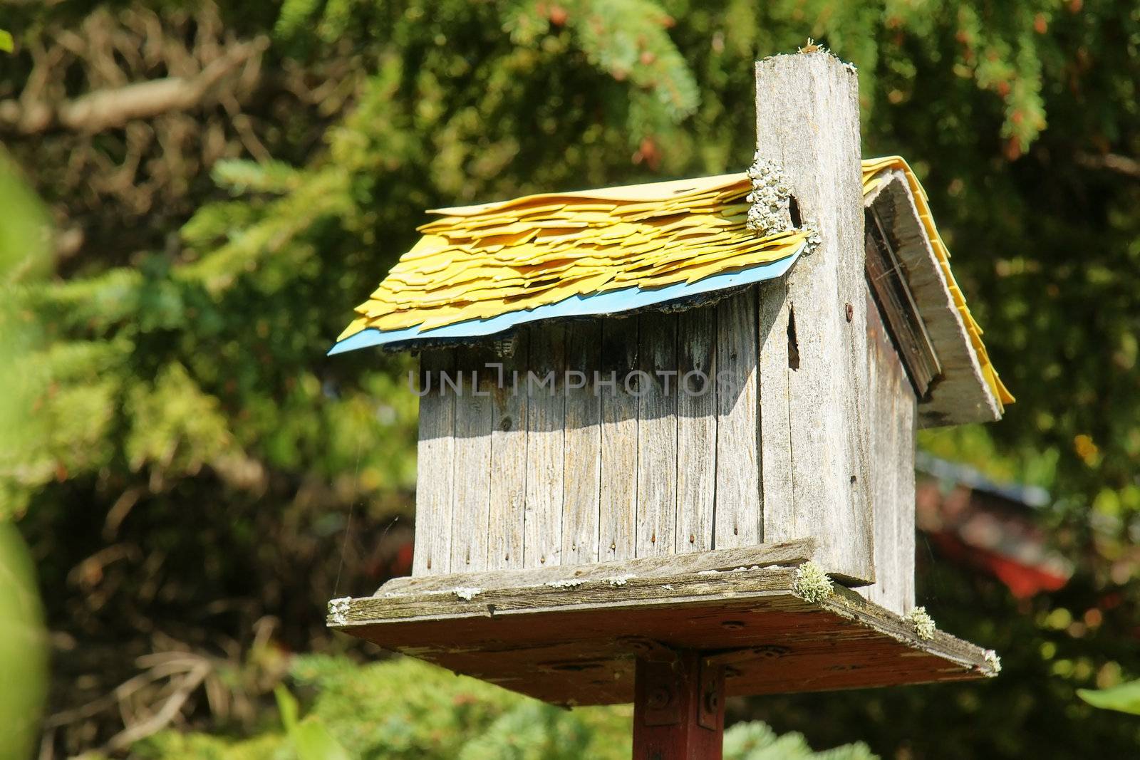 Old wooden bird house by Mirage3