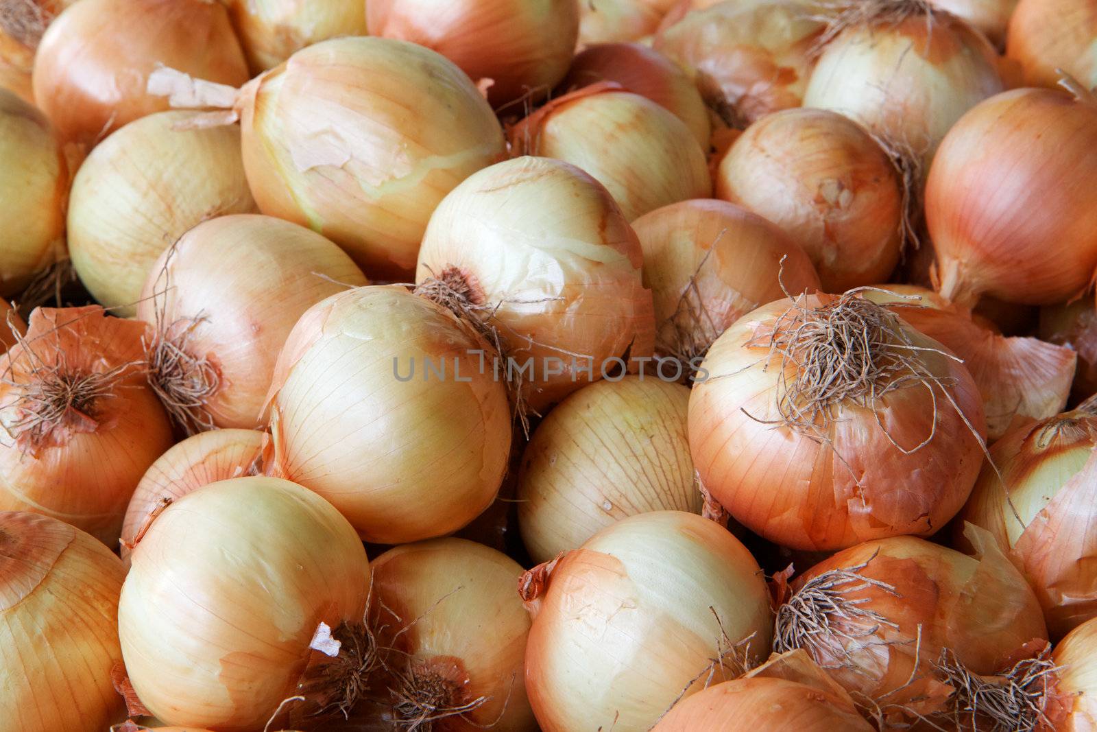 Pile of yellow Onions by bobkeenan