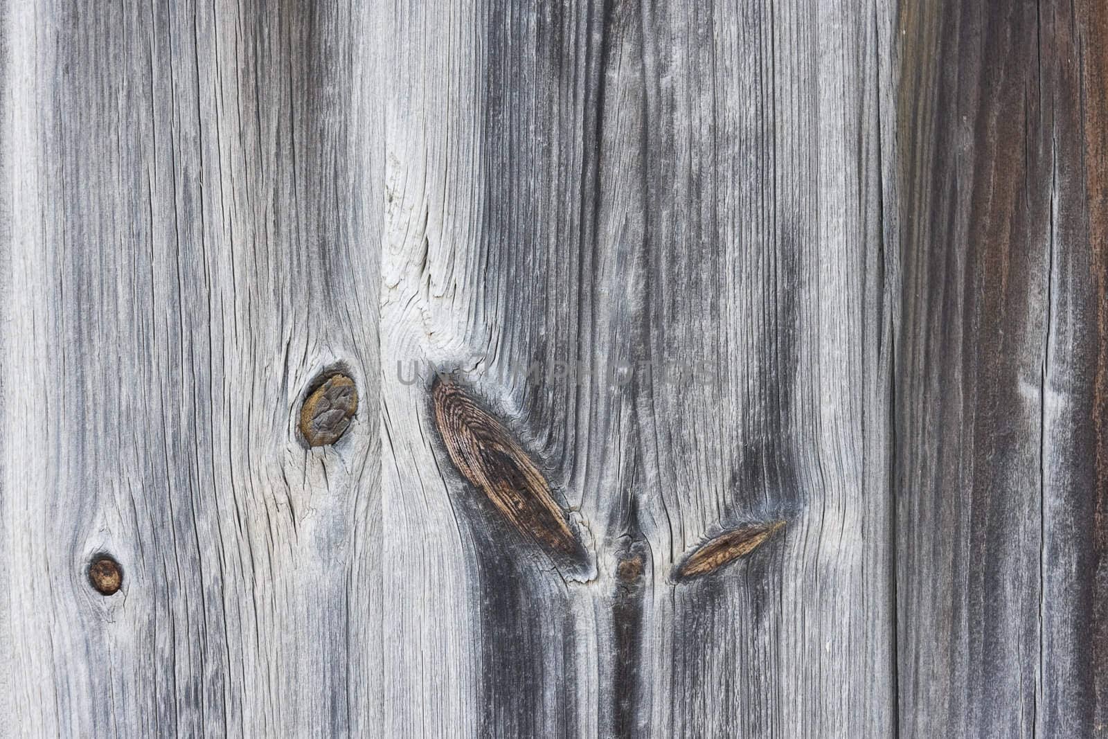 Aged wood texture by rozhenyuk